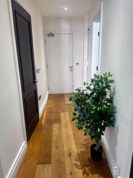 Appartement Lovely 1bed Flat Kensington